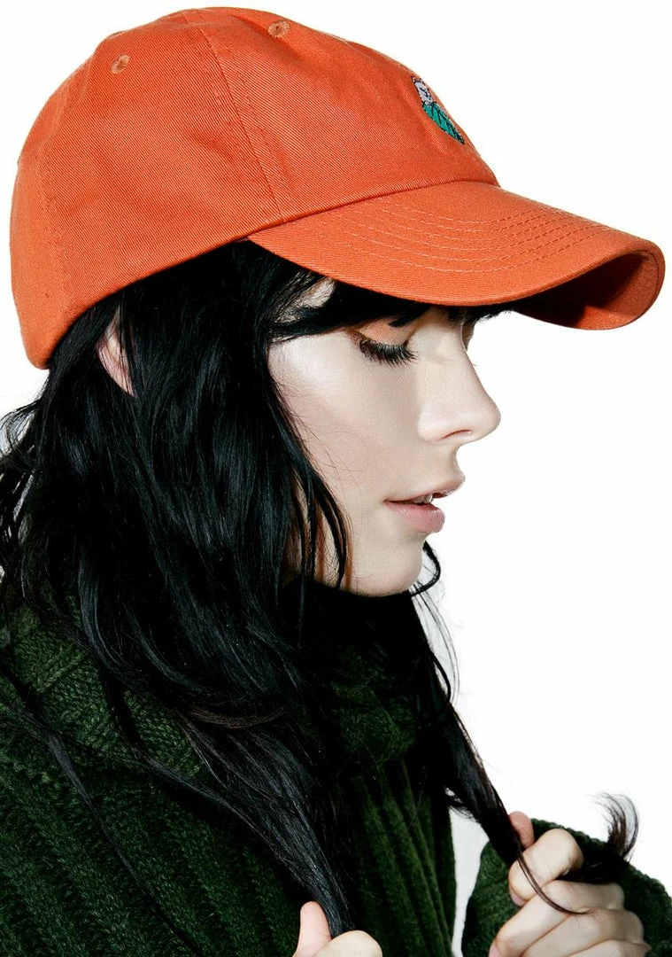 Top 10 ❤️ RIPNDIP Hats Orange Nermal Leaf Dad Hat ❤️ 6 RIPNDIP Hats Orange Nermal Leaf Dad Hat