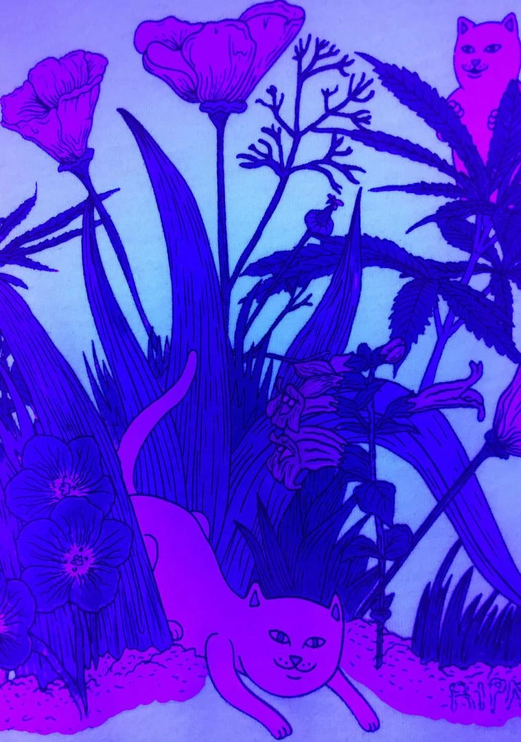Best Sale ๐งจ RIPNDIP Tops Paradise UV Graphic Tee ๐ 6 RIPNDIP Tops Paradise UV Graphic Tee